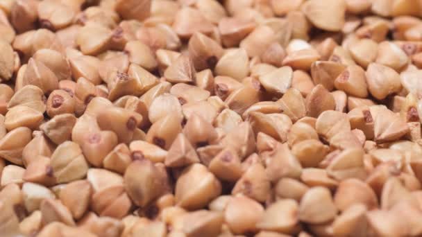 プレートにソバの種のマクロビデオを流し込む 揚げ蕎麦粒 健康的な有機食品 上からの眺め — ストック動画