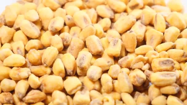 Жареные Соленые Зерна Кукурузы Вращаются Кругу Вкусная Кукуруза Видео — стоковое видео