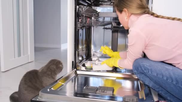 ゴム手袋の女性はスプーンで食器洗い機の容器に粉末を注ぎます 化学は高品質の食器洗浄を意味します 灰色の猫を持つ主婦 — ストック動画