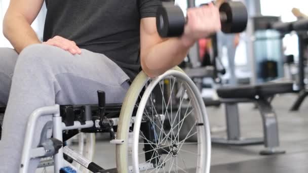 一个坐在轮椅上的中年男子正在体育馆里锻炼 在体育馆里举起哑铃 体育克服概念 — 图库视频影像