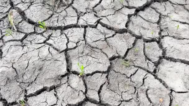 干枯黑土裂隙土的动态射流 全球变暖概念环境问题 — 图库视频影像