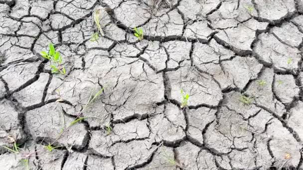 Koncepcja Globalnego Ocieplenia Środowiska Suchy Ląd Bez Deszczu — Wideo stockowe