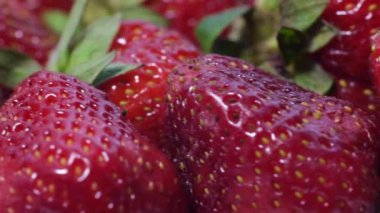 Çemberde dönen bir sürü olgun, kırmızı, sulu çilek. Çilek arkaplanı. Döndürme. Güzel kırmızı dut arkaplanı
