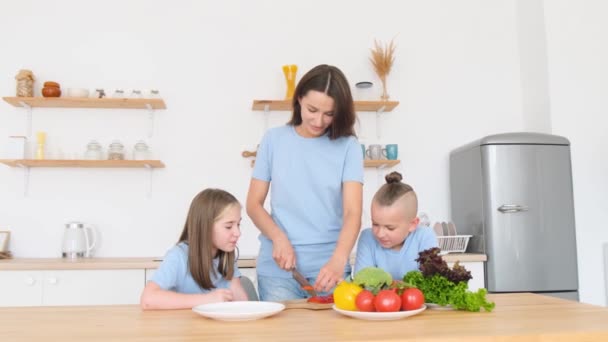 Υγιεινή Τροφή Ευτυχισμένη Οικογένεια Μητέρων Και Παιδιών Που Ετοιμάζουν Σαλάτα — Αρχείο Βίντεο