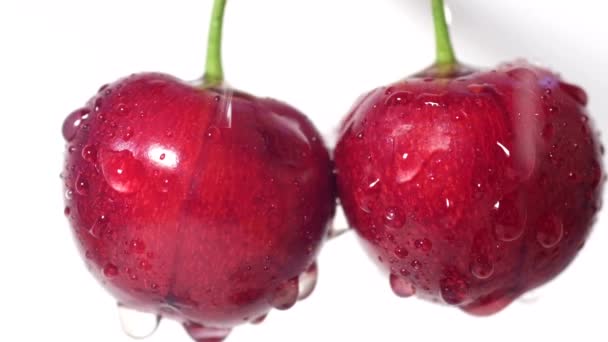 两个成熟的红色樱桃 白色的背景 樱桃与水滴流过它们 白色背景上的浆果的主体形象 — 图库视频影像