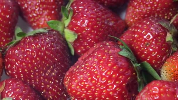 一群红红的 令人垂涎欲滴的 成熟的草莓旋转成一个圆圈 草莓的背景 — 图库视频影像