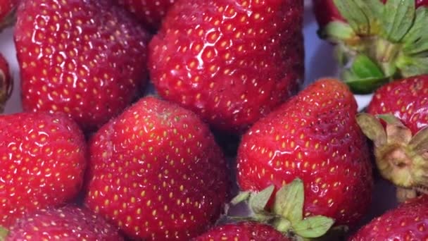 Πολλές Ώριμες Κόκκινες Ζουμερές Φράουλες Περιστρέφονται Κύκλο Φράουλα Φόντο Περιστροφή — Αρχείο Βίντεο