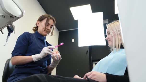 若い女性歯科医は若い女性歯科医が適切に彼女の歯を磨く方法を女性患者を示しています 口腔のマネキン — ストック動画