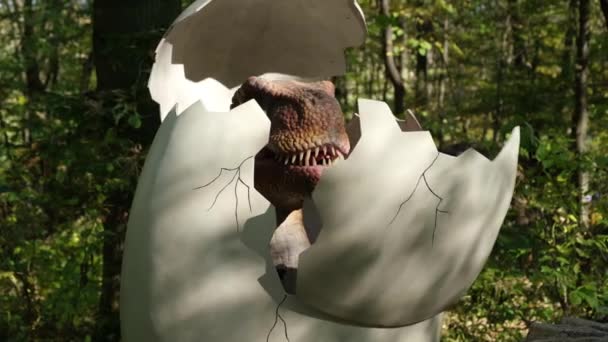 Egy Kis Dinoszaurusz Mászik Tojásból Egy Dinoszaurusz Születése Dinoszaurusz Modellek — Stock videók