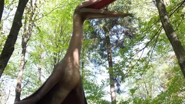 Ένας Πολύ Ψηλός Δεινόσαυρος Στη Μέση Του Δάσους Φυτοφάγοι Δεινόσαυροι — Αρχείο Βίντεο