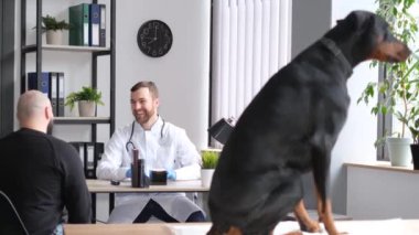Köpek ve sahibi bir veteriner tarafından muayene ediliyor. Büyük bir safkan köpek veteriner ofisinde bir masanın üzerinde oturur. Bir köpek ve sahibi.