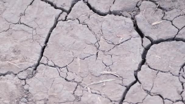 Сухая Потрескавшаяся Серая Почва Засуха Глобальное Потепление Современные Проблемы Человечества — стоковое видео
