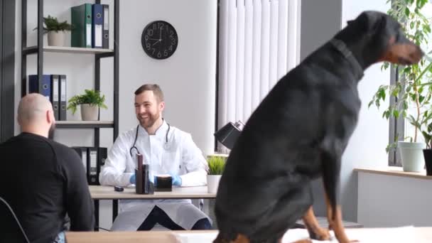Pes Jeho Majitel Jsou Vyšetřováni Veterinářem Velký Čistokrevný Pes Sedí — Stock video