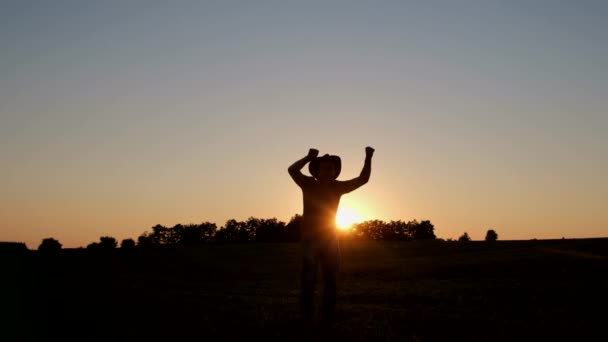 一个心满意足的农民在田里跳着滑稽的舞的轮廓 日落或日出在田野里 垂直录像 — 图库视频影像