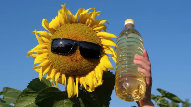 Пляшка Соняшникової Олії Соняшниковому Полі Реклама Соняшникової Олії Відео — стокове відео