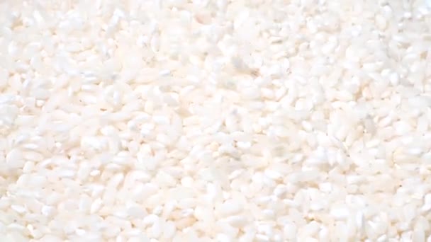 Beyaz Pişmemiş Pirinç Parçalanır Daire Şeklinde Döner Çin Yemek Pişirmek — Stok video