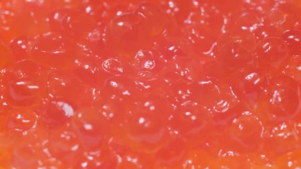 매크로 비디오 캐비어의 맛있는 — 비디오