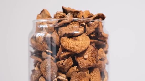 Drogas Cogumelos Alucinógenos Jarro Giram Círculo Cogumelos Psicoativos Drogas Naturais — Vídeo de Stock