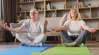 Mutlu yaşlı çift evde fitness yogası yapıyor. Olgun emekli karı koca meditasyonun tadını çıkarıyor. Sağlıklı yaşam tarzı kavramı