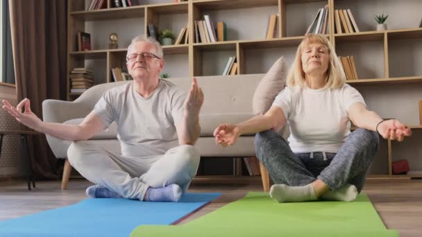 Szczęśliwa Para Starszych Ludzi Uprawia Jogę Fitness Domu Dojrzały Emerytowany — Wideo stockowe