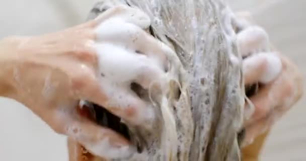 年轻女子用洗发水洗头 用手用泡沫特写 一个女人在淋浴时用洗发水洗头 — 图库视频影像