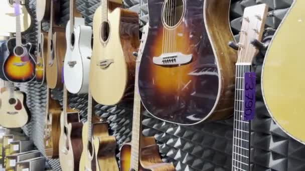 Shop Acoustic Guitars Various Sizes Colors Concept Musical Instruments — Stockvideo