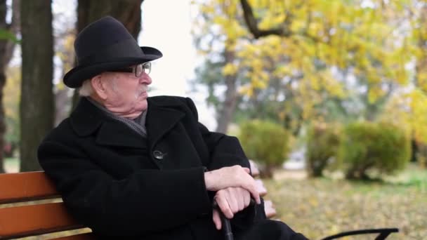 Portrait Old Concentrated Grandfather Sitting Bench Autumn Season Resting Walk — Wideo stockowe