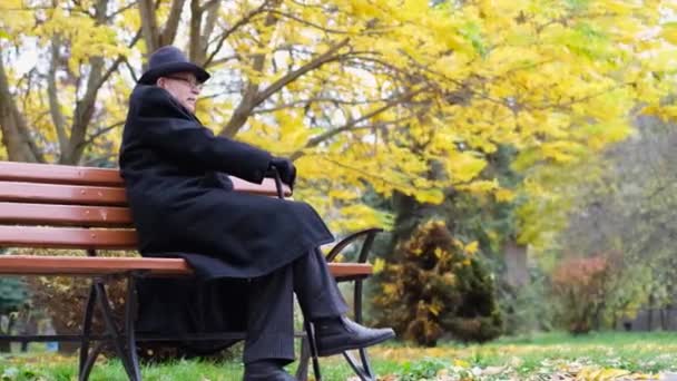 Lonely Old Pensioner Sits Autumn Park Bench Looks Somewhere Beautiful — Video