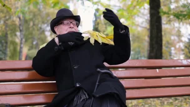 Funny Happy Old Pensioner Park Autumn Leaves Falling Him Happiness — Video Stock