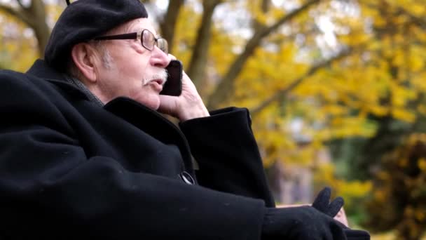 Autumn Walk Park Portrait Old Gray Haired Man Glasses Sitting — Stockvideo