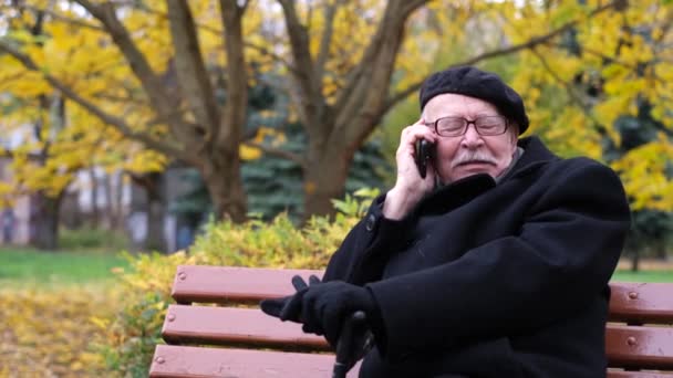 Pleasant Old Gray Haired Man Glasses Sitting Park Bench Talking — Video Stock