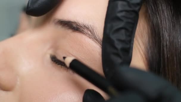 Stylist Applies Black Mascara Eyelashes Womans Eye Cosmetologist Makes Make — Stockvideo