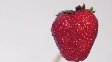 Üzerine su damlaları düşen bir çileğin makro yakın çekim videosu. Beyaz arkaplanda kırmızı çilek videosu.