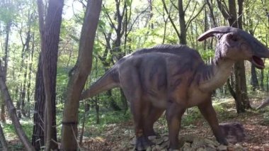 Yavru bir dinozorun maketi ormanın ortasında duruyor ve kafasını sallıyor. Dinozor parkı. Geçmişe dönelim.