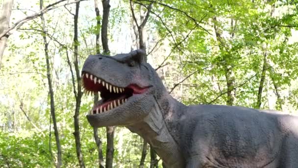 一个长着大牙齿的可怕恐龙的头部的放大图像 前往恐龙公园游览 — 图库视频影像