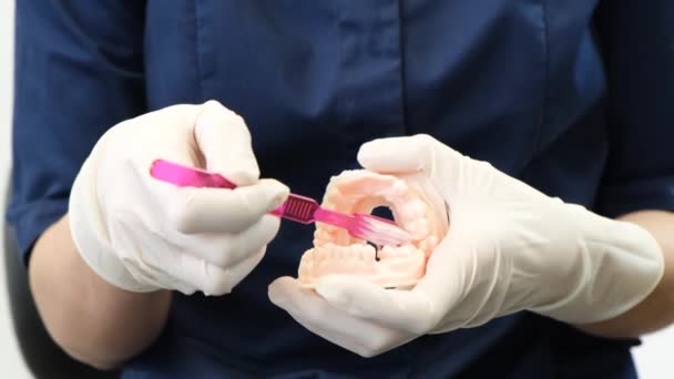 牙龈牙科医生的手 用来展示如何在口腔的假牙上正确刷牙 正确清洁牙齿的技术 — 图库视频影像