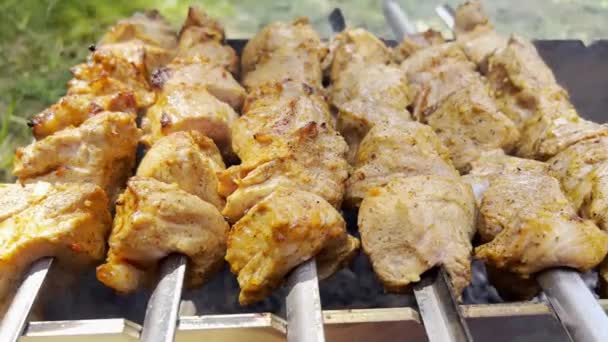 Close Juicy Pork Kebabs Being Grilled Fire Outdoors Cooking Meat — Vídeo de Stock