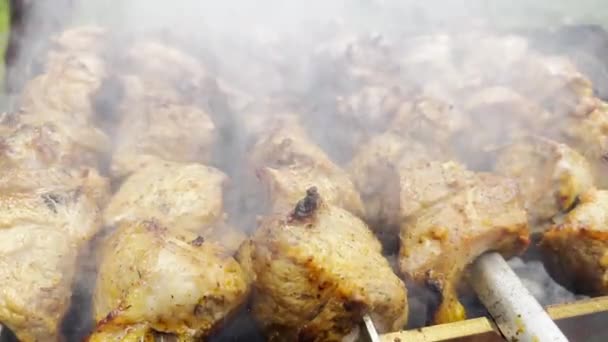 Roasting Pork Grill Smoked Kebabs Open Fire Fried Meat — Stockvideo