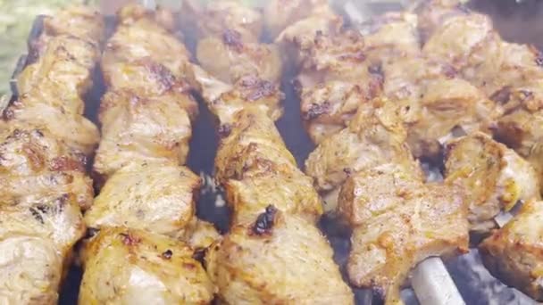 Roasting Pork Meat Smoked Kebabs Open Fire Close — Wideo stockowe
