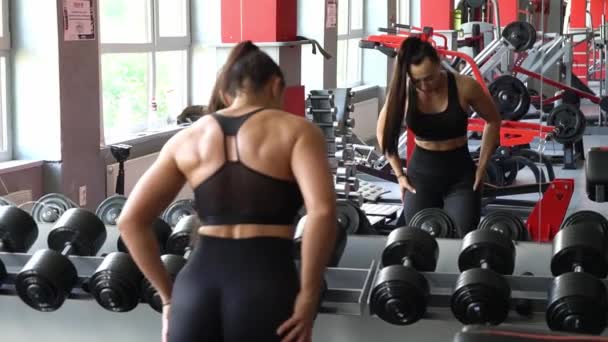Sporty Woman Lifts Heavy Dumbbells Train Arm Muscles Portrait Athlete — Stockvideo