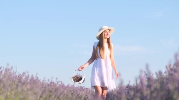 Vacker Video Smal Ung Kvinna Vitt Gående Mitt Lavendel Mot — Stockvideo