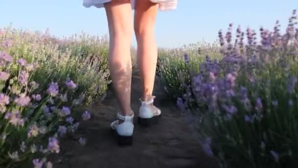 Video Primo Piano Una Giovane Donna Che Cammina Tra Fiori — Video Stock