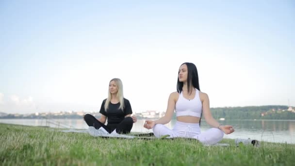 Young Women Practicing Meditation Morning Bright Sunny Park City Meditation — Vídeo de Stock