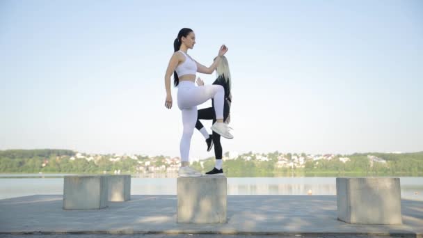 Junge Positive Trainerin Beim Fitnesstraining Park Schöne Frauen Machen Fitnessübungen — Stockvideo
