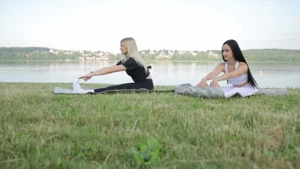 Couple Girl Athletes Practicing Yoga Nature Lake Slim Sport Women — Stock Video