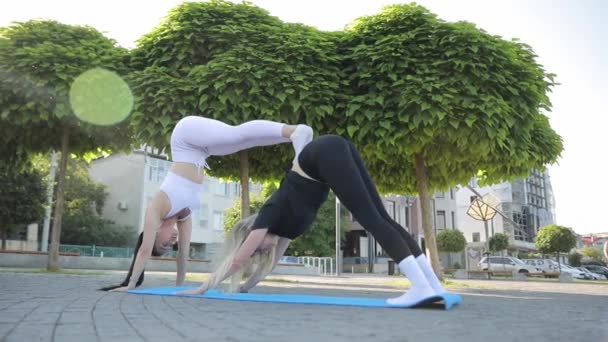 Две Молодые Женщины Позирующие Городском Парке Занятия Йогой Открытом Воздухе — стоковое видео