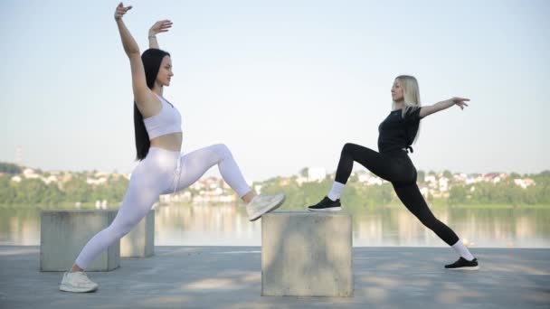 Şehir Parkında Aerobik Yapan Genç Kadınlar Sabah Sporu Eğitimi — Stok video