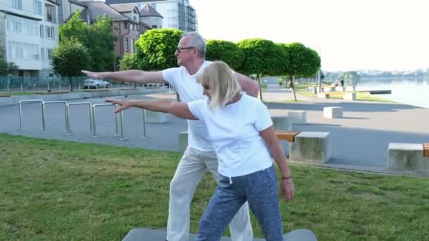Starsze Małżeństwo Ćwiczy Jogę Świeżym Powietrzu Zielonym Trawniku Parku Świcie — Wideo stockowe