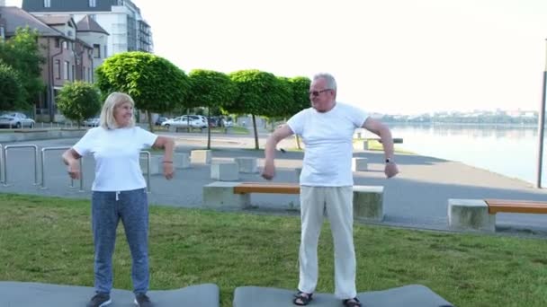 Starší Pár Dělá Sportovní Cvičení Společně Jógu Venkovní Sporty Zdravý — Stock video