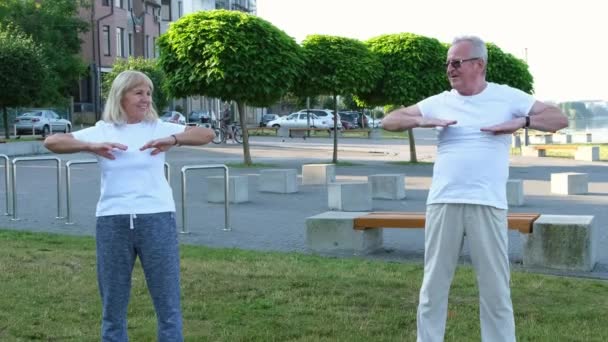 Una Pareja Ancianos Está Haciendo Deportes Aire Libre Estirándose Parque — Vídeos de Stock
